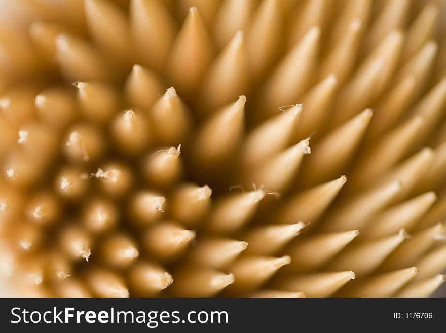 Swirly  toothpicks