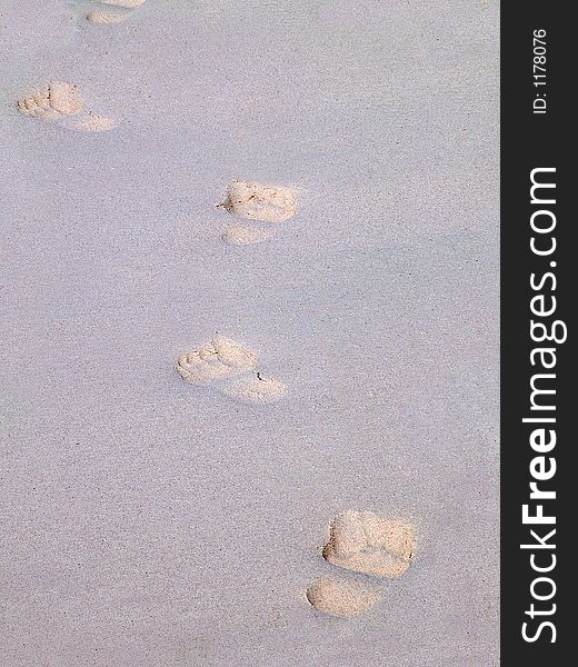 Foot steps on a sandy beach in Barbados. Foot steps on a sandy beach in Barbados