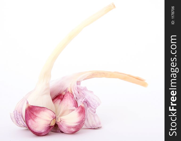 Garlic cloves isolated on white, macro close up with copy-space, copy space.