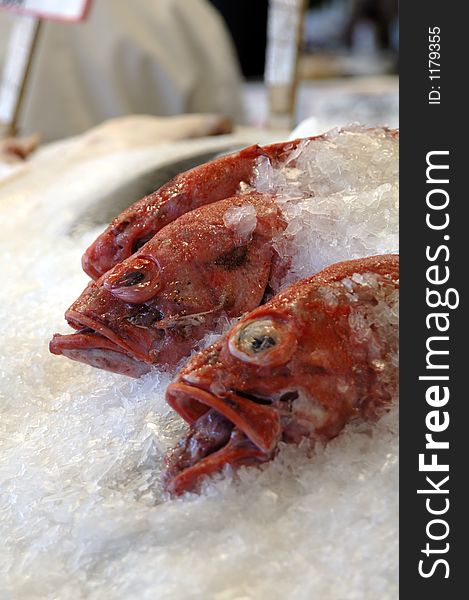 Fresh red rock fish at pike place market