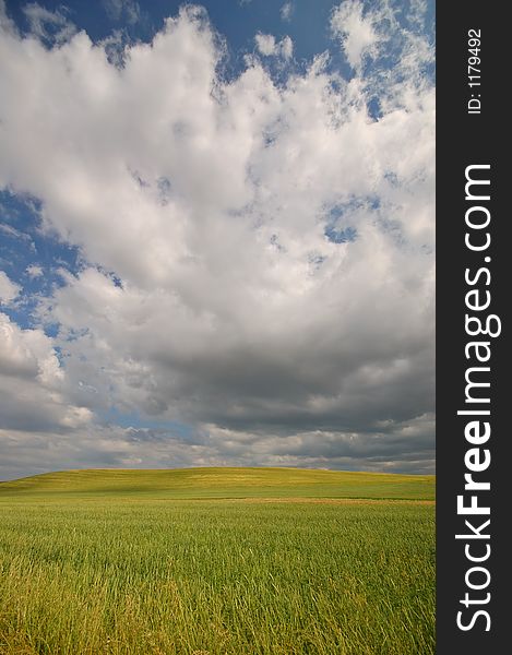 Summer field on a stormy afternoon