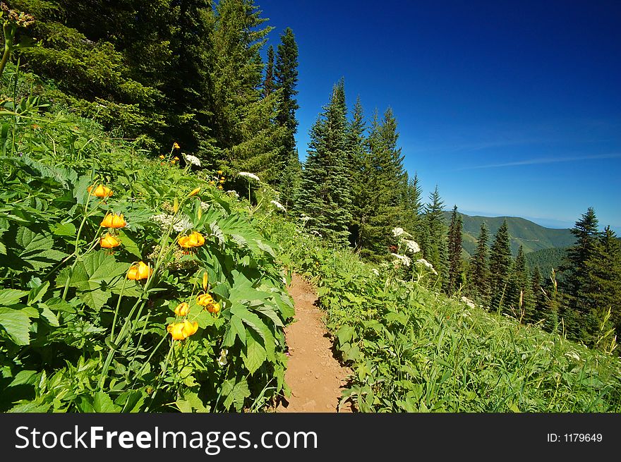 Hiking Trail In The Mountains