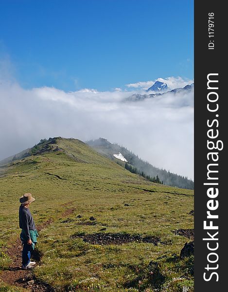 Mountain meadow on a hiking trail in Washington State. Mountain meadow on a hiking trail in Washington State