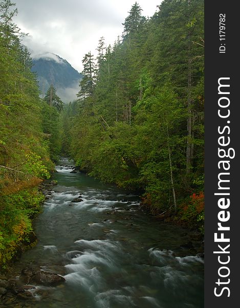 Waterfall in the forest of the Olympic Peninsula of Washington State. Waterfall in the forest of the Olympic Peninsula of Washington State