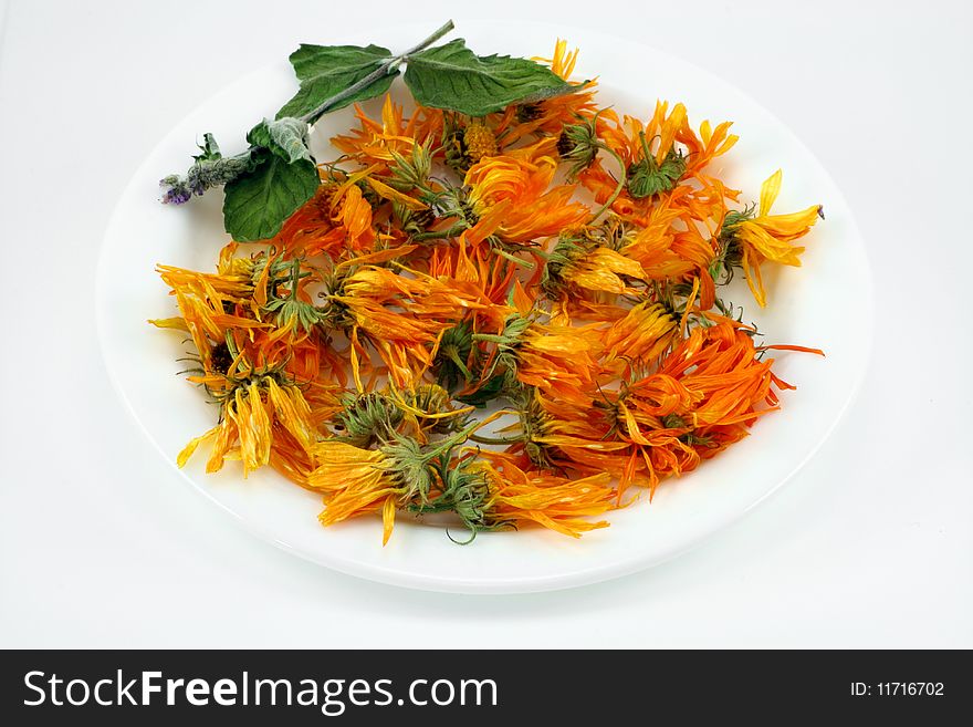 The dried up flowers of a medicinal calendula. Of colours do medical products. . The dried up flowers of a medicinal calendula. Of colours do medical products.