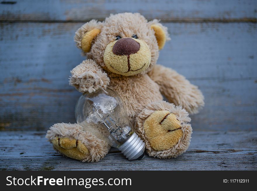 Close-Up Photography of Teddy Bear Near Light Bulb