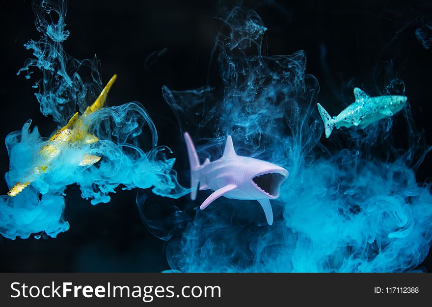 Three Plastic Toy Fish Underwater