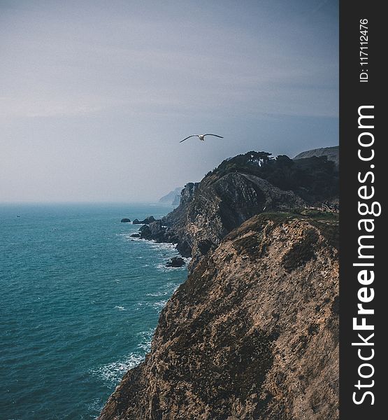 Aerial Photography of Beach Shore