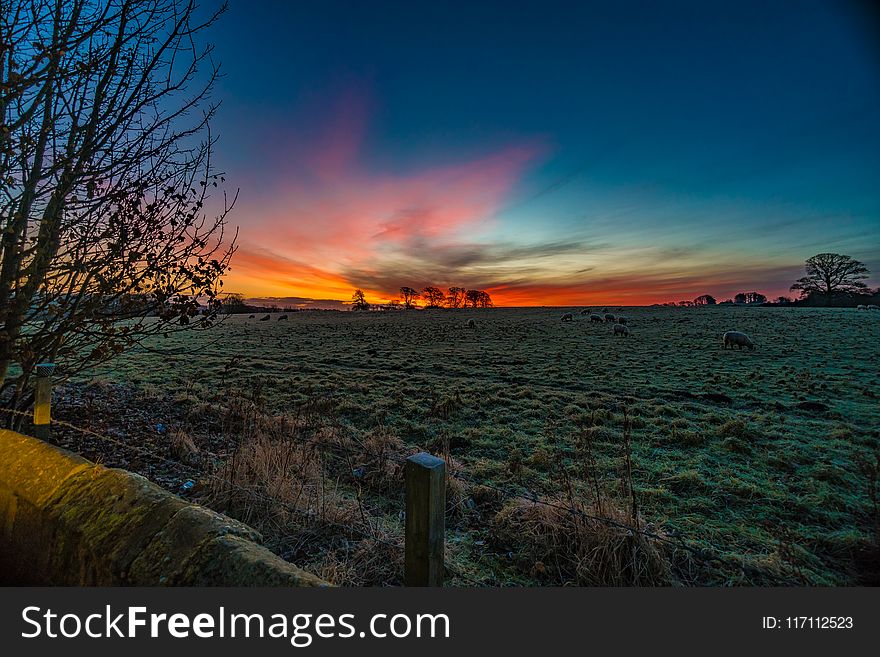 Photography of Sunset over Green Grass Field