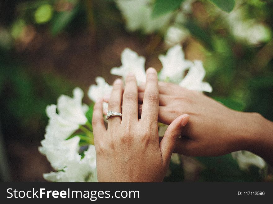 Person Holding Flowers