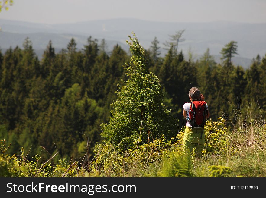 Woman Standing in Front of Green Leaf Trees
