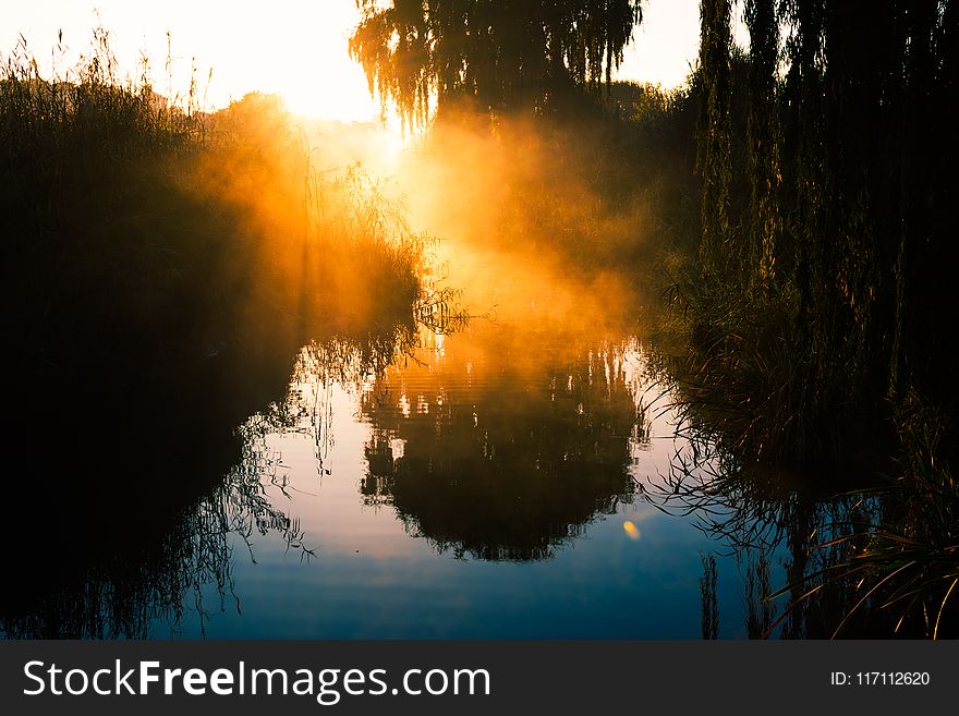 Silhouette Photography of Trees Near Water