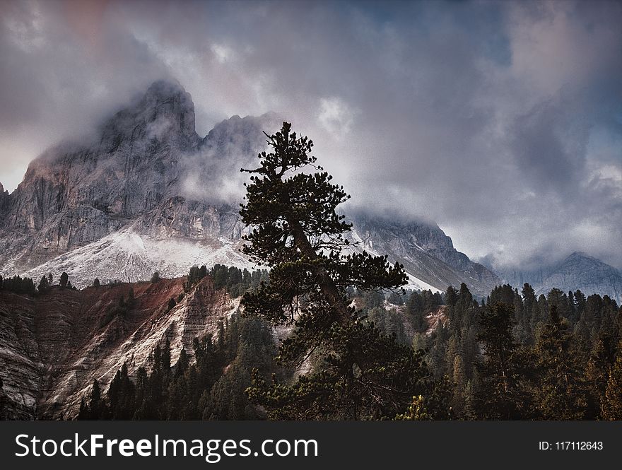 Bird&x27;s Eye View Photography Of Trees And Mountain