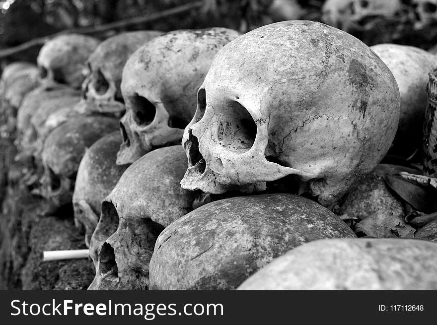 Grey Skulls Piled On Ground