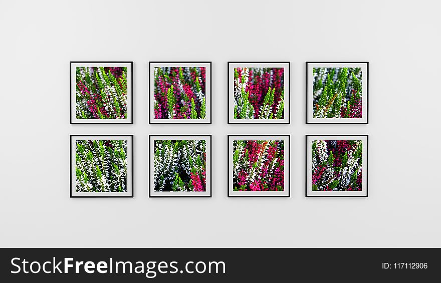 Eight Photo Frame of Flowers