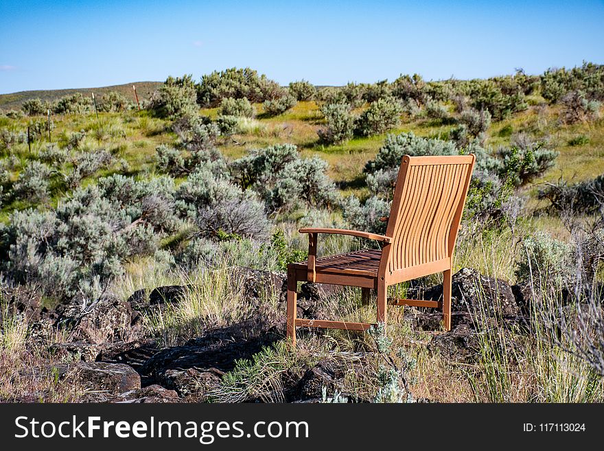 Brown Wooden Armchair On Green Grass