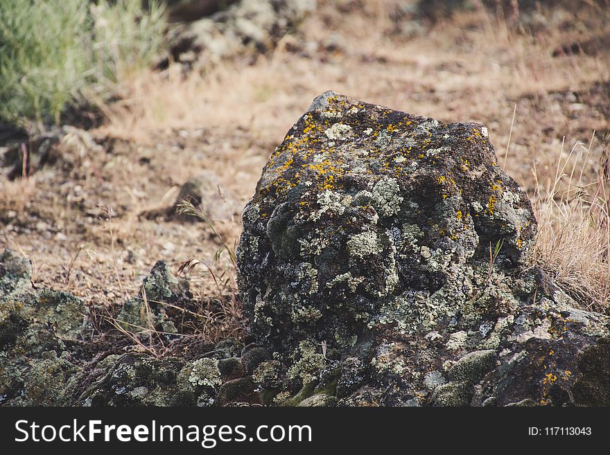 Gray Stone Fragment