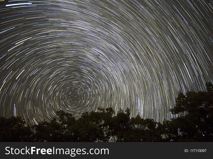 Timelapse Photo of Trees With Background of Star