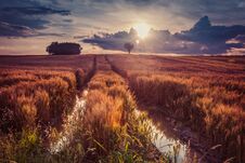 Sunset Over Polish Wheat Fields. Royalty Free Stock Photography Sunset Over Polish Wheat Fields. Royalty Free Stock Photography