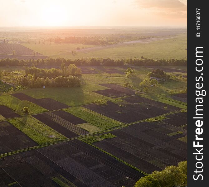 Aerial view of the field and trees at sunset. Photo from the drone