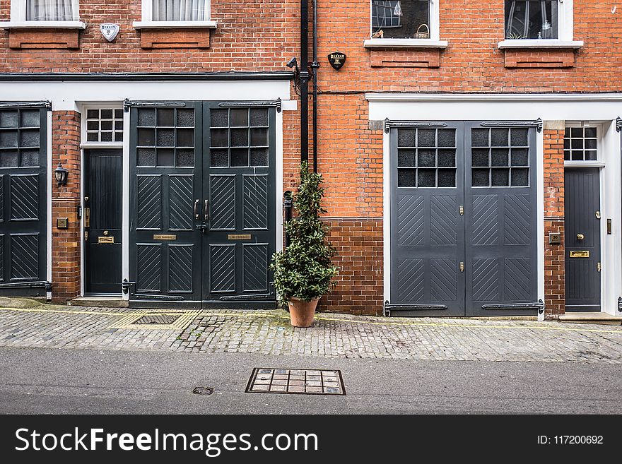 Photo Of Green Near Tree Beside House