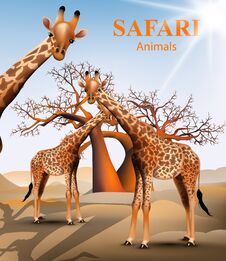 Giraffe And Baobab Tree Safari Background Vector. Animals Wildlife Illustrations Stock Photo