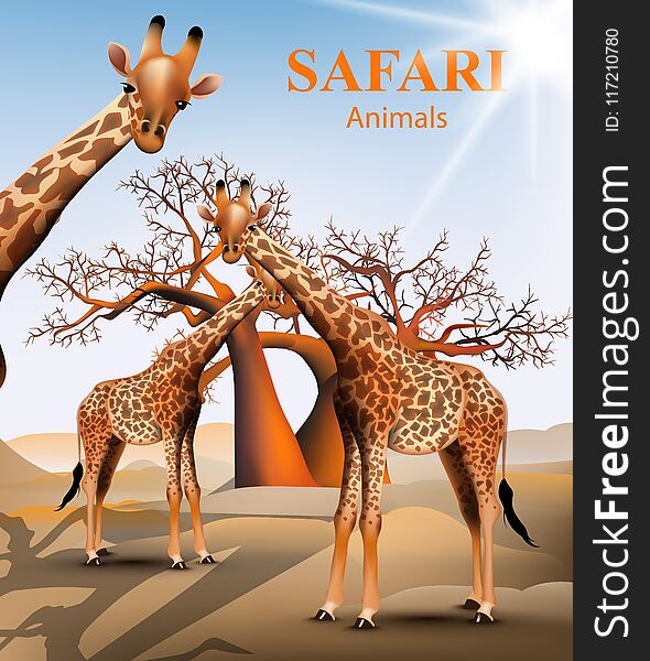 Giraffe And Baobab Tree Safari Background Vector. Animals Wildlife Illustrations