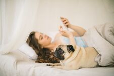 Chatting In Bed With Mobile Phone And Small Dog. Relaxed Sunny Weekend Morning In Bed With Pet Royalty Free Stock Photography