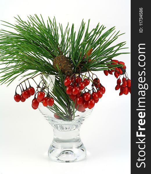 Composition from a transparent glass, a green pine branch with the cone, and bright red wild-growing wood berries. Composition from a transparent glass, a green pine branch with the cone, and bright red wild-growing wood berries.