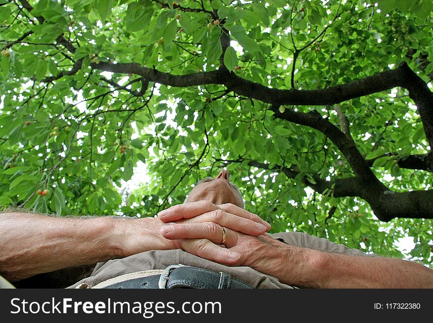 A senior man enjoying in a shadow of cherry tree