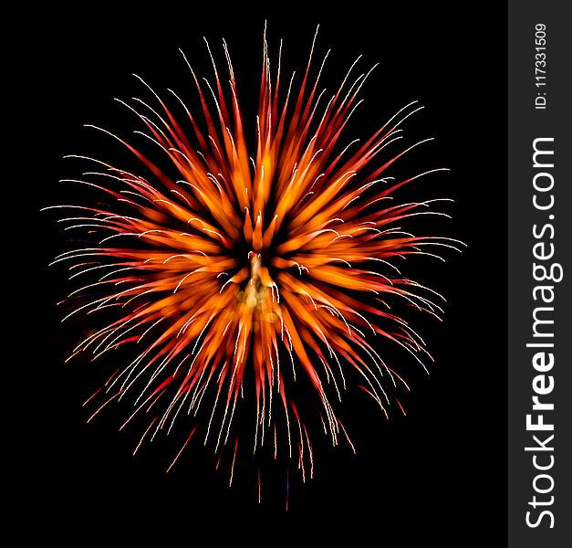 Exotic focus-poll images of fireworks, isolated for composing