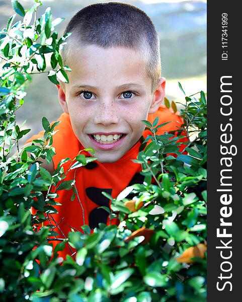 Bushes provide an excellent hiding place for this young boy playing hide-go-seek with his siblings. He has on an orange shirt and a secretive smile. Bushes provide an excellent hiding place for this young boy playing hide-go-seek with his siblings. He has on an orange shirt and a secretive smile.