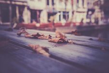 Fallen Autumn Leaves On A Wooden Table Stock Photography