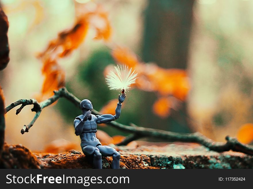 Sitting Gray Action Figure Beside Brown Tree Branch