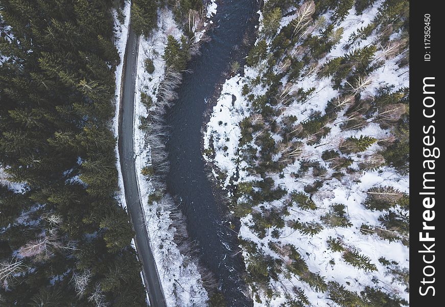 Body of Water Near Green Trees