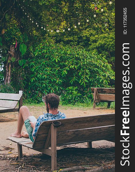 Man Reading Book Sitting on Bench Near Trees