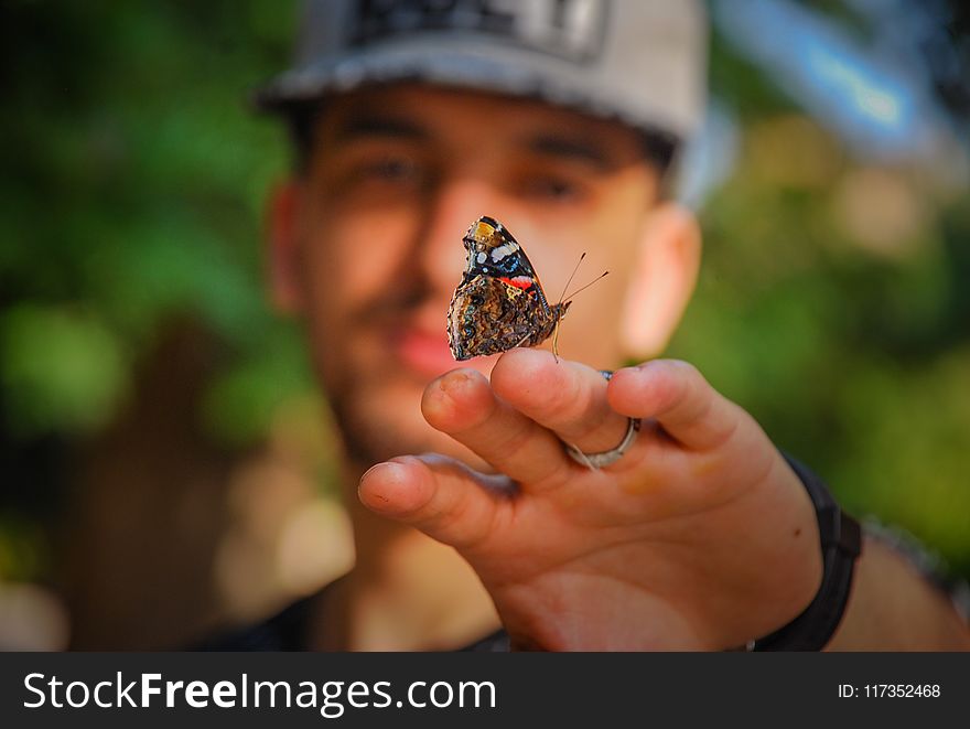 Brown and Black Butterfly on Man&#x27;s Hand