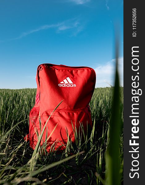 Orange Adidas Backpack On Grass Field