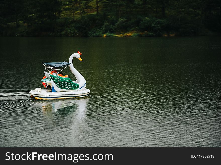 Swan Boat in Body of Water