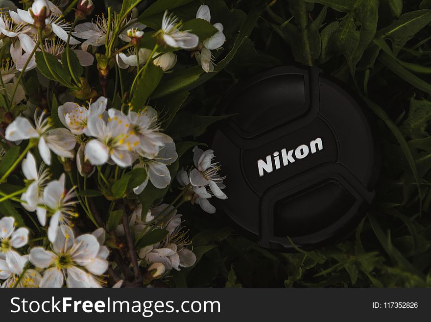 Black Nikon Camera Cap