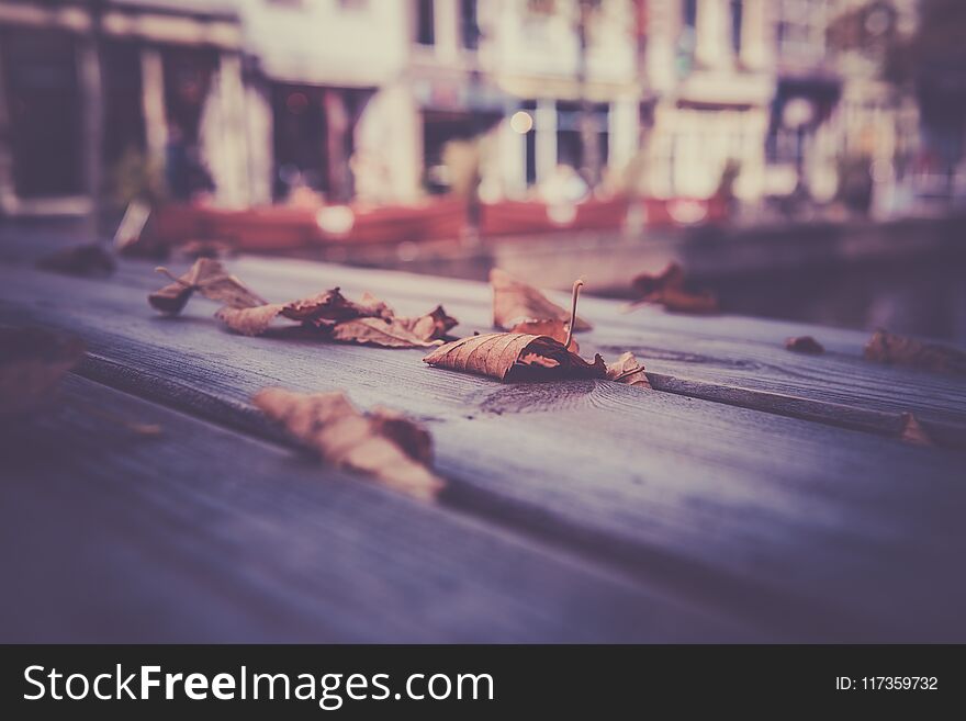 Fallen autumn leaves on a wooden table in the town. Filtered shot