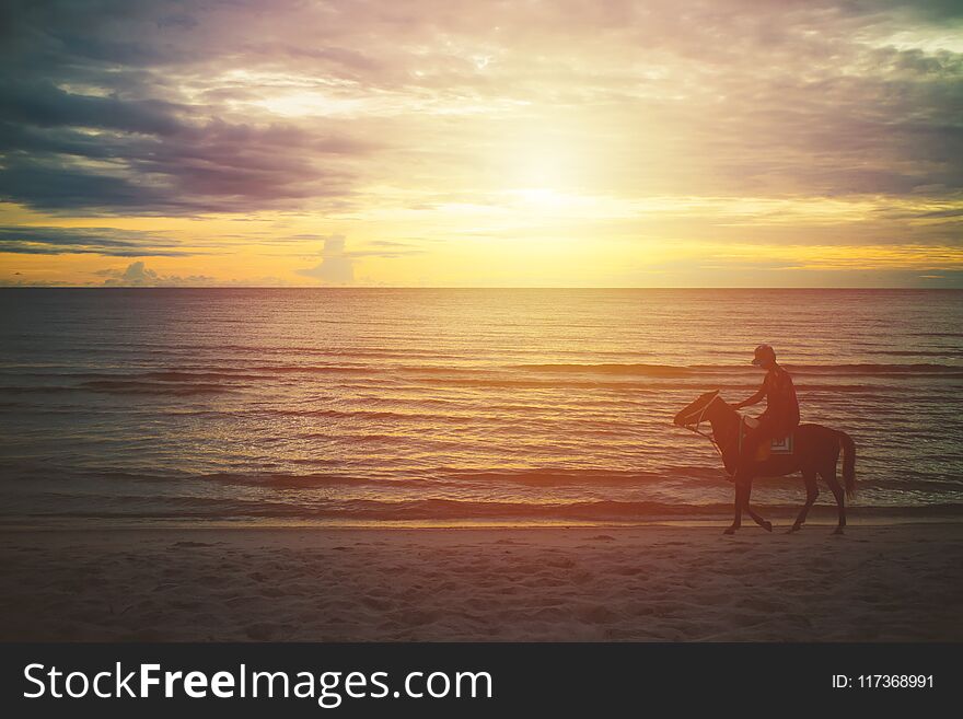 Silhouette man riding horse on the beach in the morning.