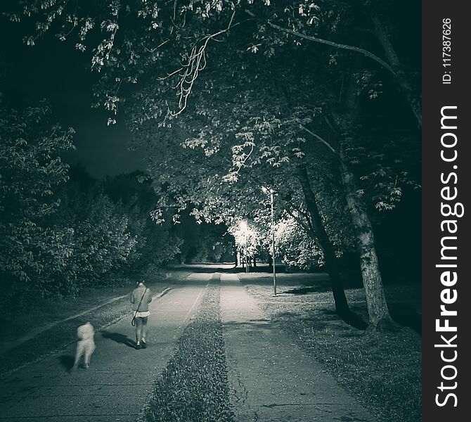 Night walk with dog