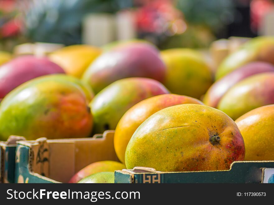 Ripe sweet mangoes in boxes at an outdoor retail fruit stall