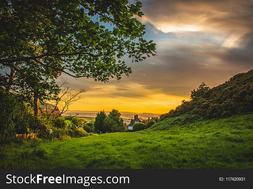 Green Trees Under Blue And Orange Sky During Sunset