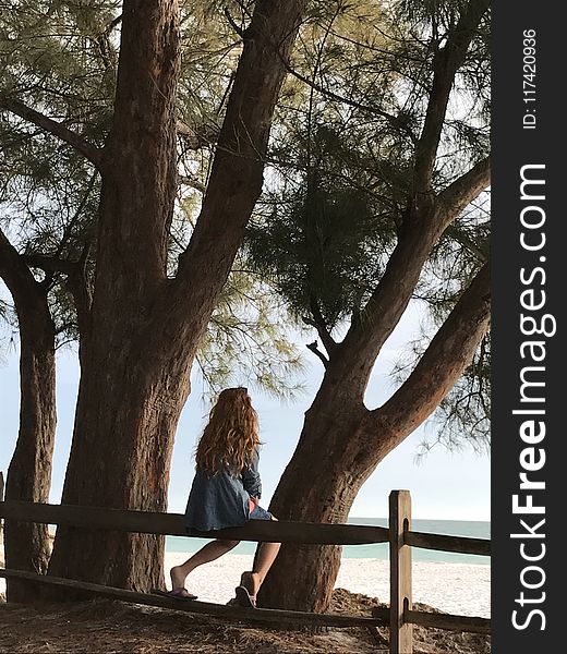 Woman Sitting on Wooden Fence Beside Tree