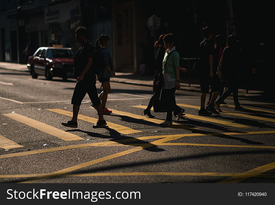 People Walking on Pedestrian Lane