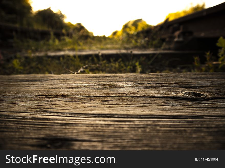 Shallow Focus Photography of Wooden Plank