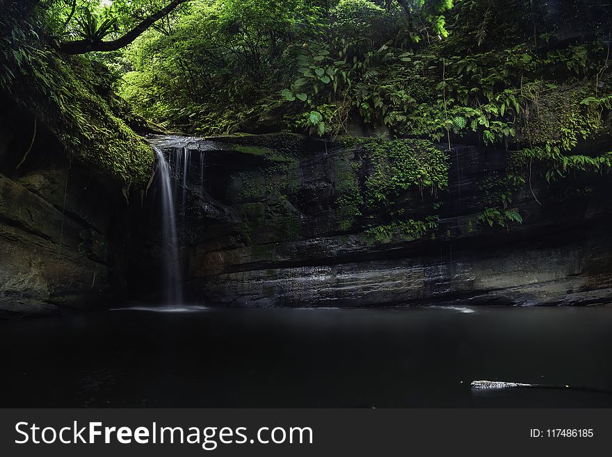 Waterfall Surrounded by Green Leaf Trees