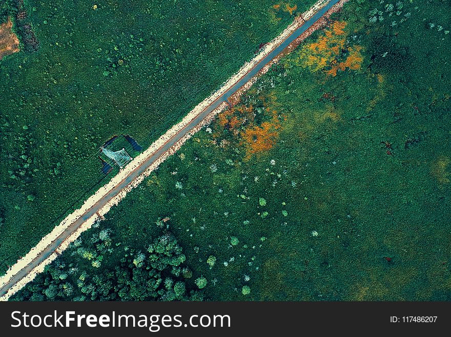 Aerial Photo Of Highway